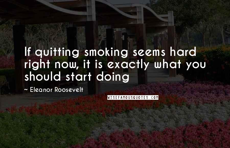 Eleanor Roosevelt Quotes: If quitting smoking seems hard right now, it is exactly what you should start doing