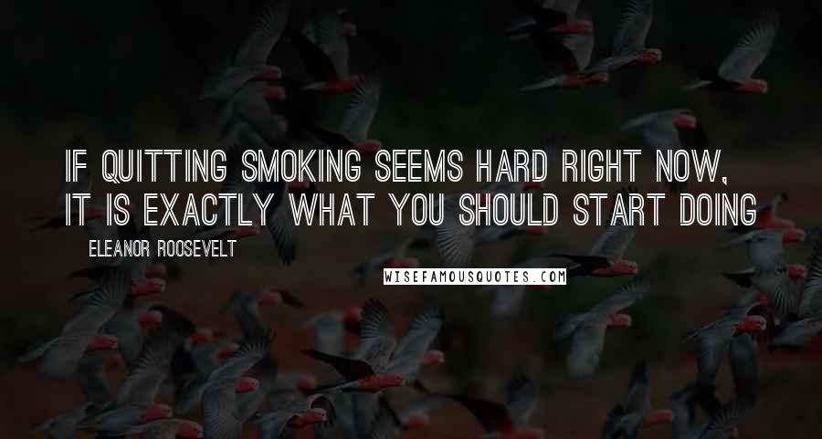 Eleanor Roosevelt Quotes: If quitting smoking seems hard right now, it is exactly what you should start doing