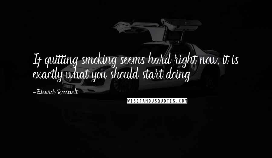 Eleanor Roosevelt Quotes: If quitting smoking seems hard right now, it is exactly what you should start doing