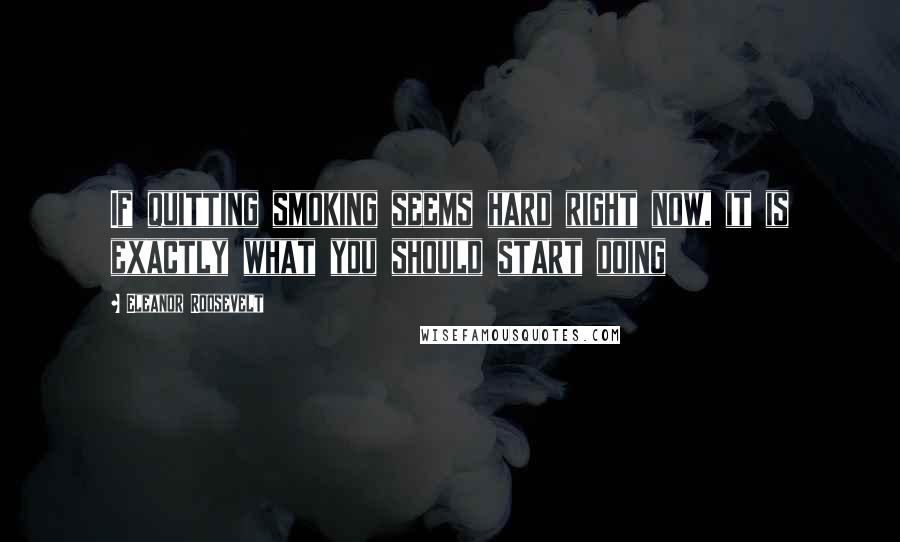 Eleanor Roosevelt Quotes: If quitting smoking seems hard right now, it is exactly what you should start doing