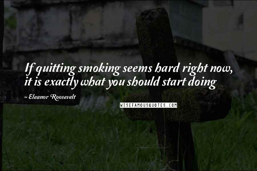 Eleanor Roosevelt Quotes: If quitting smoking seems hard right now, it is exactly what you should start doing