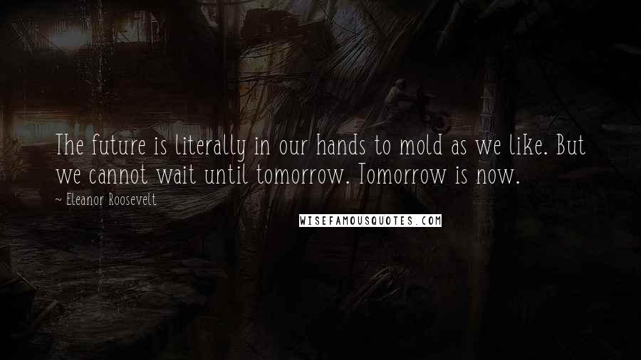 Eleanor Roosevelt Quotes: The future is literally in our hands to mold as we like. But we cannot wait until tomorrow. Tomorrow is now.