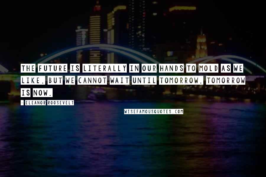 Eleanor Roosevelt Quotes: The future is literally in our hands to mold as we like. But we cannot wait until tomorrow. Tomorrow is now.