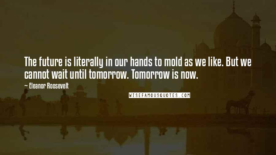 Eleanor Roosevelt Quotes: The future is literally in our hands to mold as we like. But we cannot wait until tomorrow. Tomorrow is now.