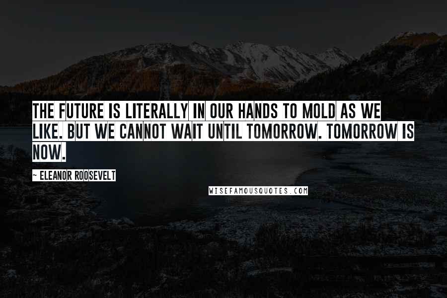 Eleanor Roosevelt Quotes: The future is literally in our hands to mold as we like. But we cannot wait until tomorrow. Tomorrow is now.
