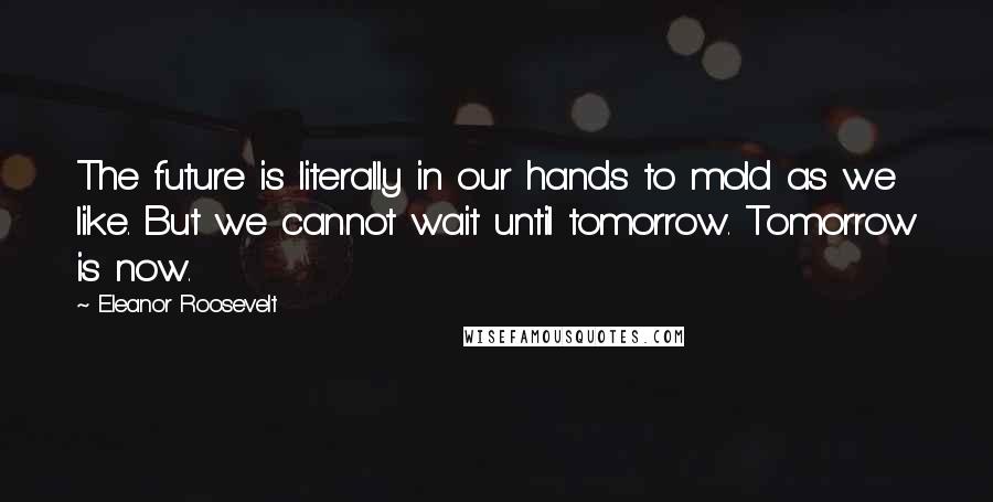 Eleanor Roosevelt Quotes: The future is literally in our hands to mold as we like. But we cannot wait until tomorrow. Tomorrow is now.