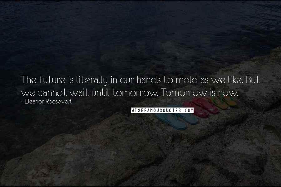 Eleanor Roosevelt Quotes: The future is literally in our hands to mold as we like. But we cannot wait until tomorrow. Tomorrow is now.