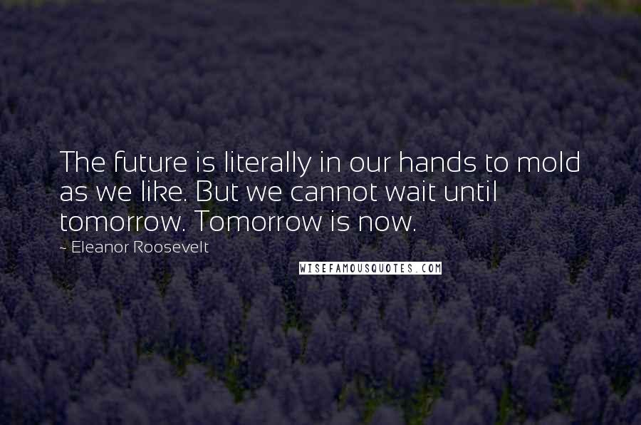 Eleanor Roosevelt Quotes: The future is literally in our hands to mold as we like. But we cannot wait until tomorrow. Tomorrow is now.