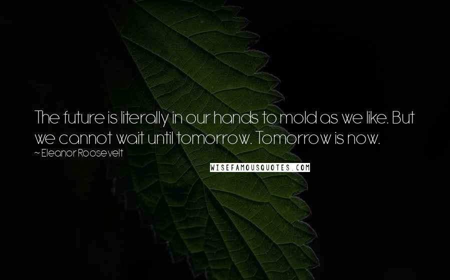 Eleanor Roosevelt Quotes: The future is literally in our hands to mold as we like. But we cannot wait until tomorrow. Tomorrow is now.