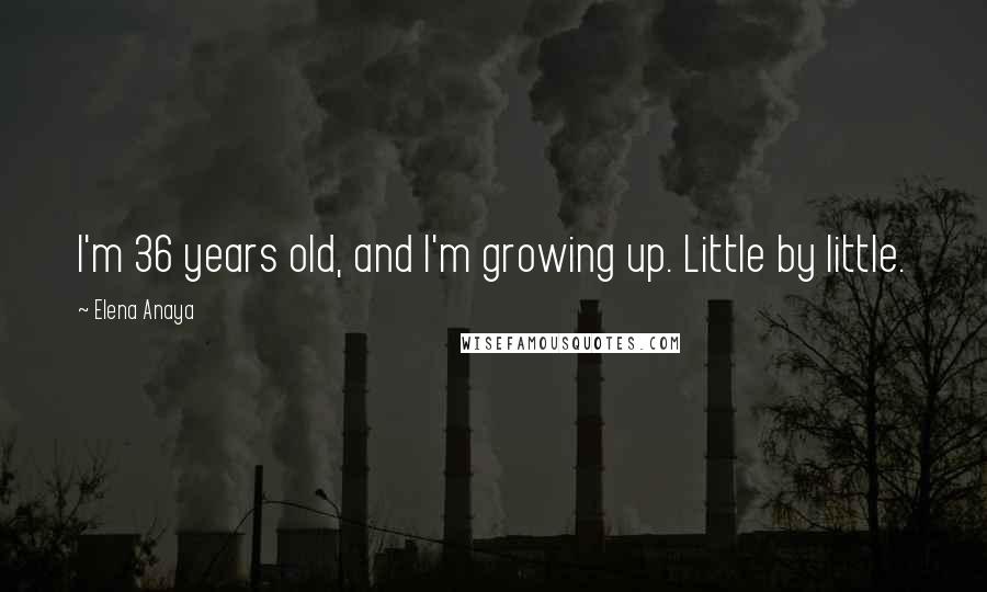 Elena Anaya Quotes: I'm 36 years old, and I'm growing up. Little by little.