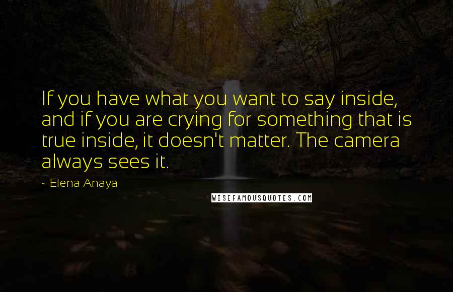 Elena Anaya Quotes: If you have what you want to say inside, and if you are crying for something that is true inside, it doesn't matter. The camera always sees it.