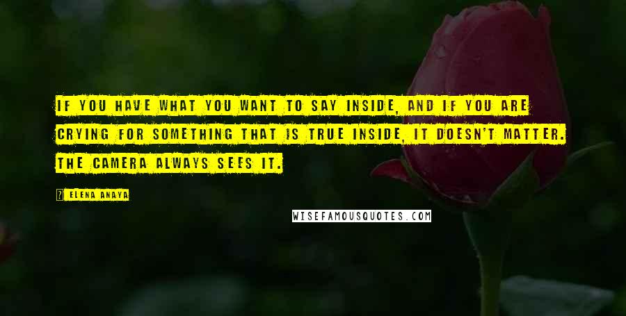 Elena Anaya Quotes: If you have what you want to say inside, and if you are crying for something that is true inside, it doesn't matter. The camera always sees it.