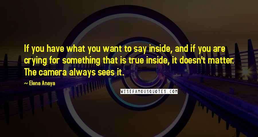 Elena Anaya Quotes: If you have what you want to say inside, and if you are crying for something that is true inside, it doesn't matter. The camera always sees it.