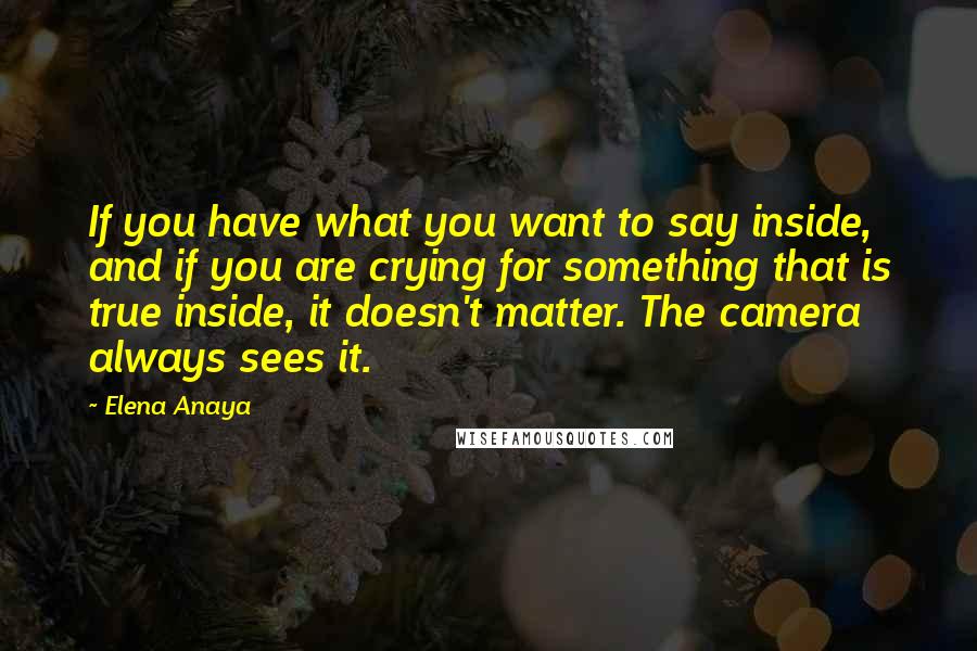 Elena Anaya Quotes: If you have what you want to say inside, and if you are crying for something that is true inside, it doesn't matter. The camera always sees it.
