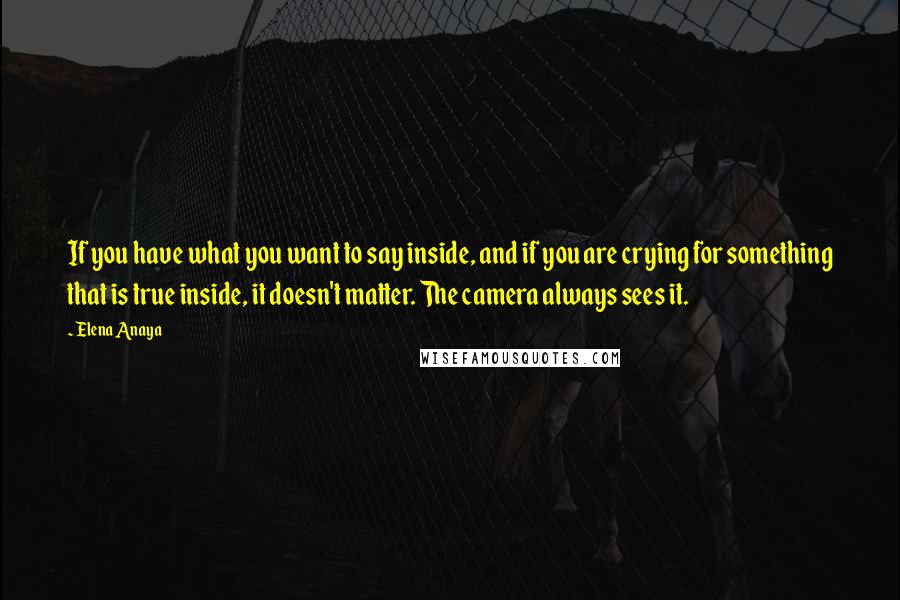 Elena Anaya Quotes: If you have what you want to say inside, and if you are crying for something that is true inside, it doesn't matter. The camera always sees it.