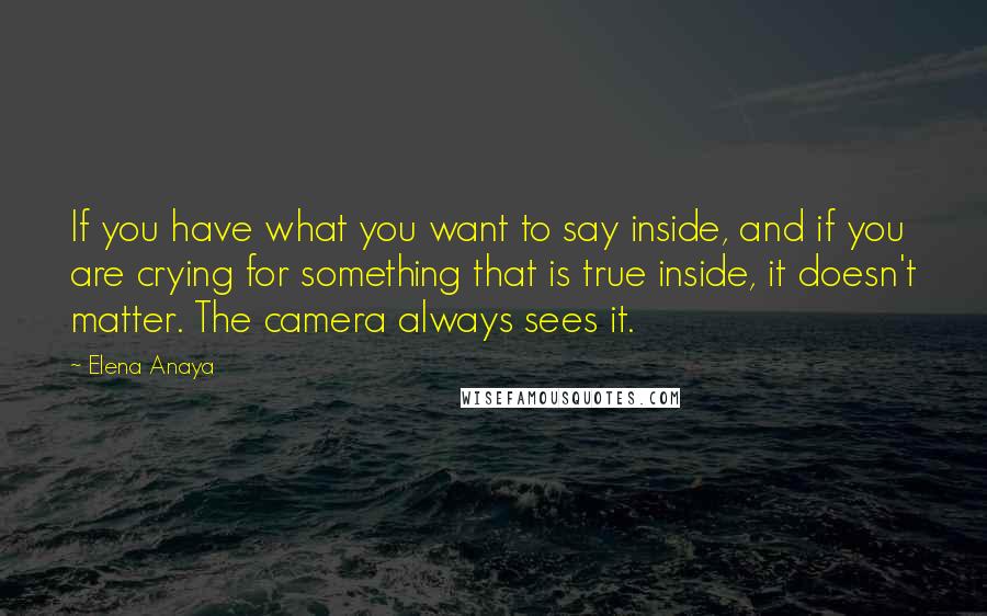 Elena Anaya Quotes: If you have what you want to say inside, and if you are crying for something that is true inside, it doesn't matter. The camera always sees it.