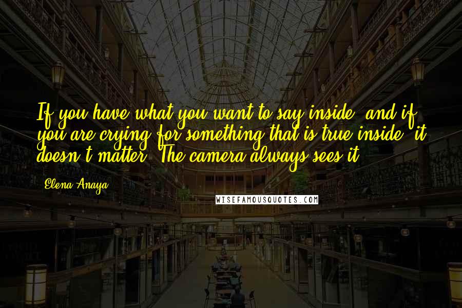 Elena Anaya Quotes: If you have what you want to say inside, and if you are crying for something that is true inside, it doesn't matter. The camera always sees it.