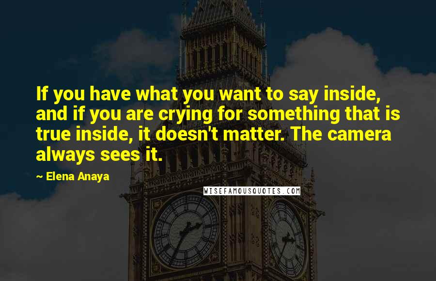 Elena Anaya Quotes: If you have what you want to say inside, and if you are crying for something that is true inside, it doesn't matter. The camera always sees it.
