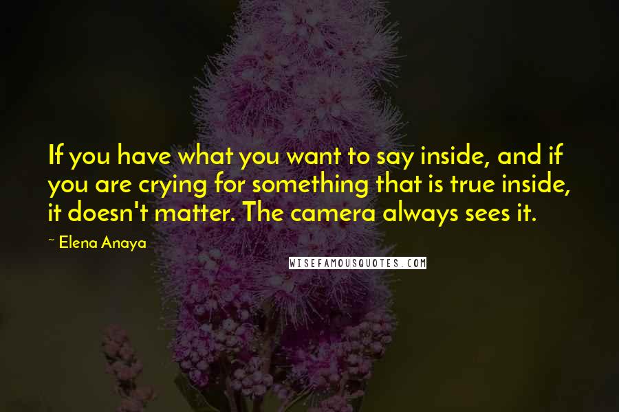 Elena Anaya Quotes: If you have what you want to say inside, and if you are crying for something that is true inside, it doesn't matter. The camera always sees it.