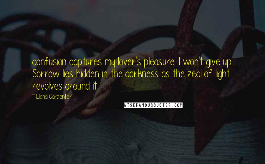 Elena Carpenter Quotes: confusion captures my lover's pleasure. I won't give up. Sorrow lies hidden in the darkness as the zeal of light revolves around it.