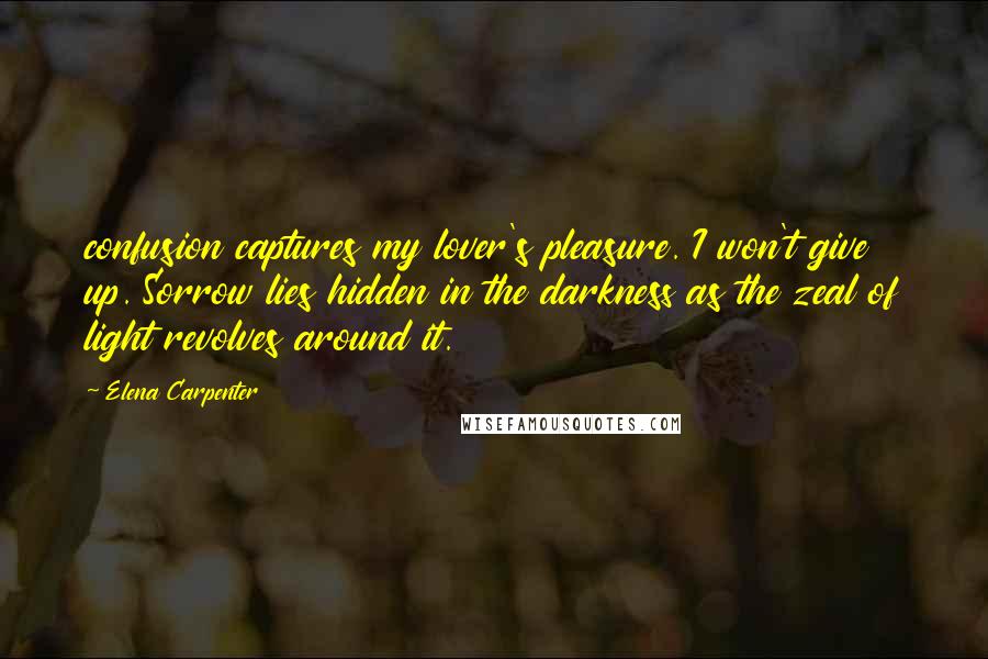 Elena Carpenter Quotes: confusion captures my lover's pleasure. I won't give up. Sorrow lies hidden in the darkness as the zeal of light revolves around it.