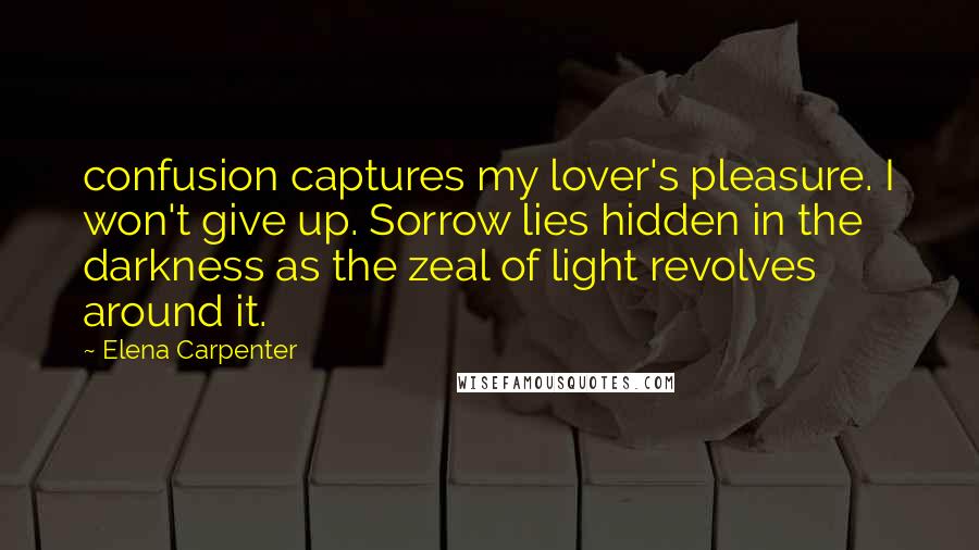 Elena Carpenter Quotes: confusion captures my lover's pleasure. I won't give up. Sorrow lies hidden in the darkness as the zeal of light revolves around it.