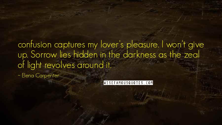 Elena Carpenter Quotes: confusion captures my lover's pleasure. I won't give up. Sorrow lies hidden in the darkness as the zeal of light revolves around it.