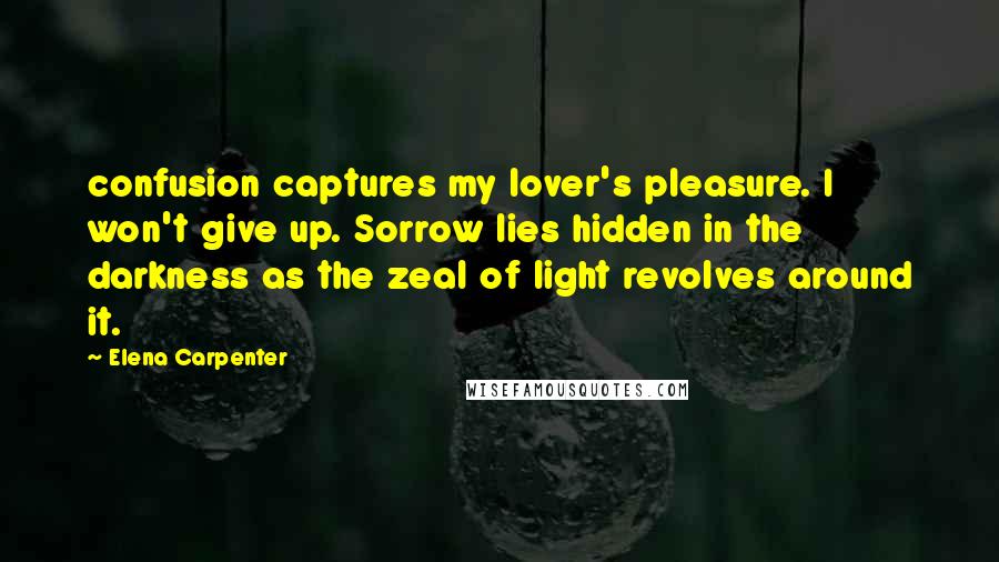 Elena Carpenter Quotes: confusion captures my lover's pleasure. I won't give up. Sorrow lies hidden in the darkness as the zeal of light revolves around it.