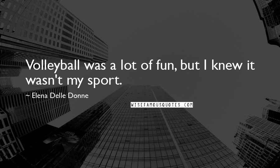 Elena Delle Donne Quotes: Volleyball was a lot of fun, but I knew it wasn't my sport.