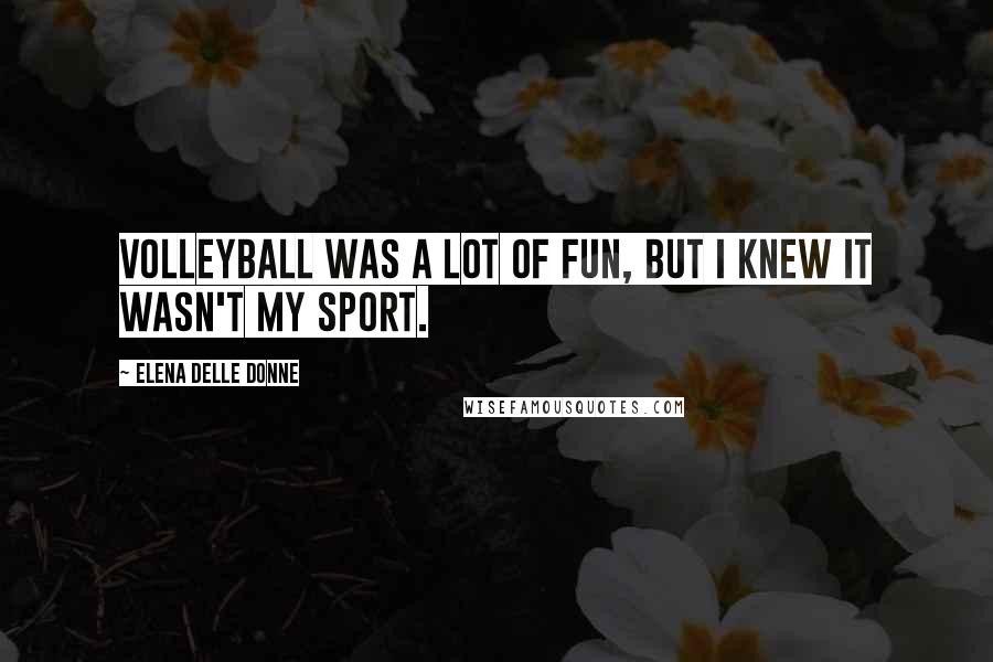 Elena Delle Donne Quotes: Volleyball was a lot of fun, but I knew it wasn't my sport.