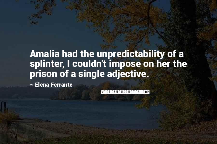 Elena Ferrante Quotes: Amalia had the unpredictability of a splinter, I couldn't impose on her the prison of a single adjective.