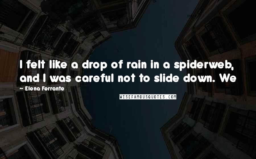 Elena Ferrante Quotes: I felt like a drop of rain in a spiderweb, and I was careful not to slide down. We
