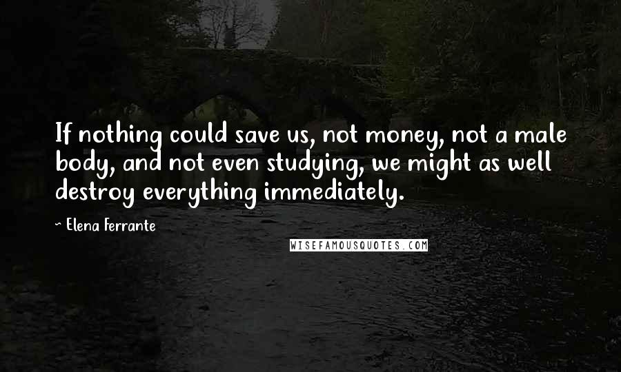 Elena Ferrante Quotes: If nothing could save us, not money, not a male body, and not even studying, we might as well destroy everything immediately.