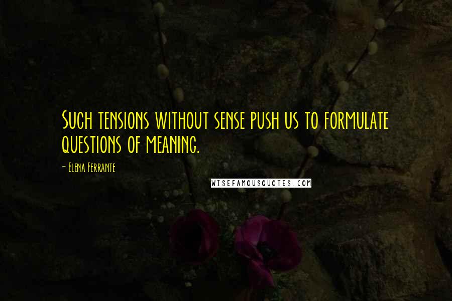 Elena Ferrante Quotes: Such tensions without sense push us to formulate questions of meaning.