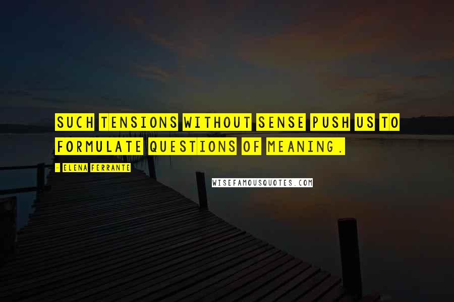 Elena Ferrante Quotes: Such tensions without sense push us to formulate questions of meaning.