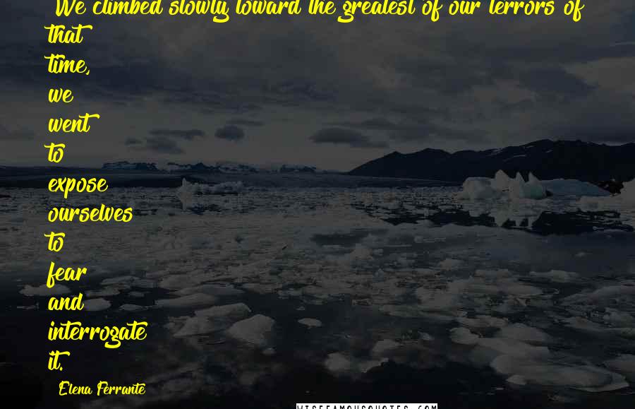 Elena Ferrante Quotes: We climbed slowly toward the greatest of our terrors of that time, we went to expose ourselves to fear and interrogate it.