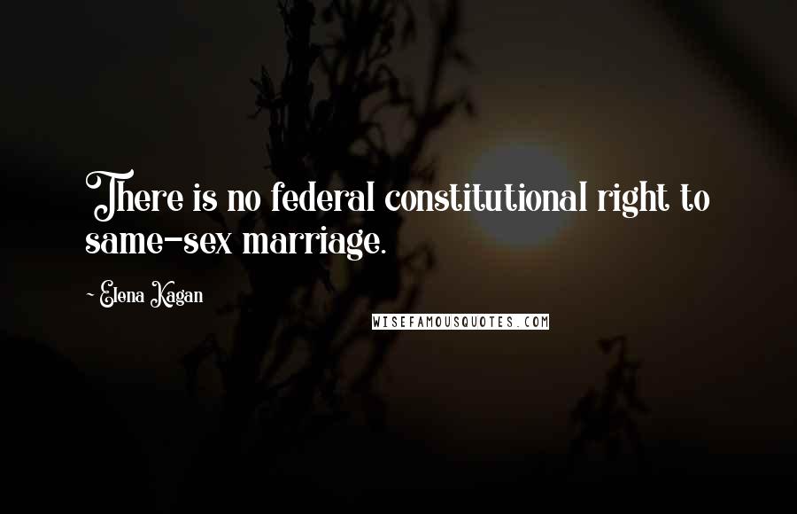 Elena Kagan Quotes: There is no federal constitutional right to same-sex marriage.