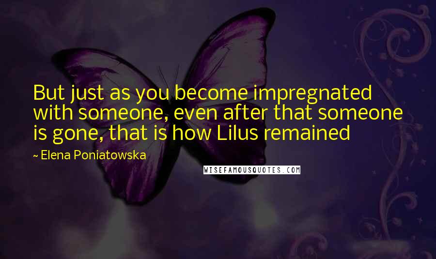 Elena Poniatowska Quotes: But just as you become impregnated with someone, even after that someone is gone, that is how Lilus remained