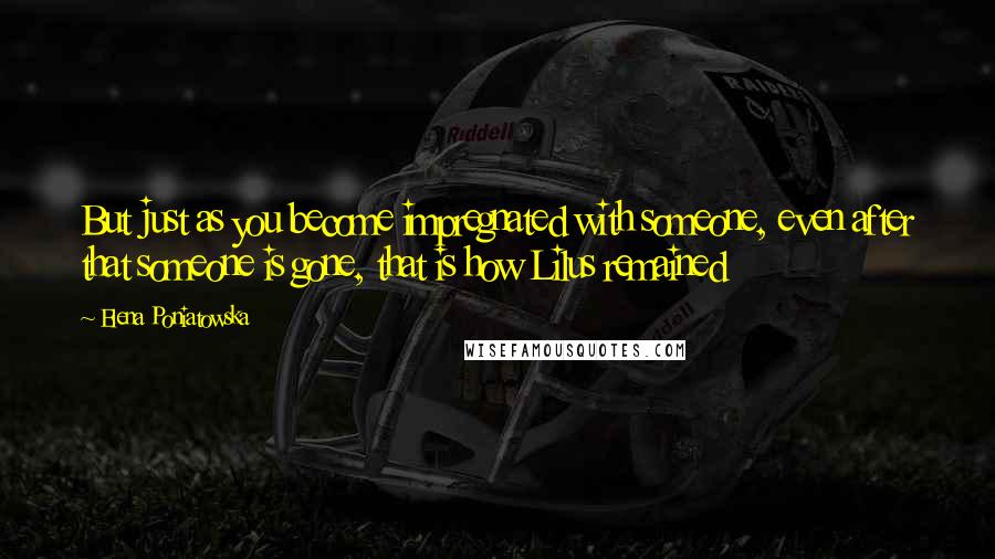 Elena Poniatowska Quotes: But just as you become impregnated with someone, even after that someone is gone, that is how Lilus remained