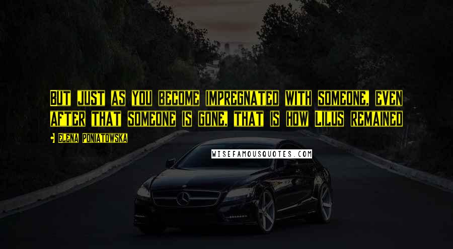 Elena Poniatowska Quotes: But just as you become impregnated with someone, even after that someone is gone, that is how Lilus remained