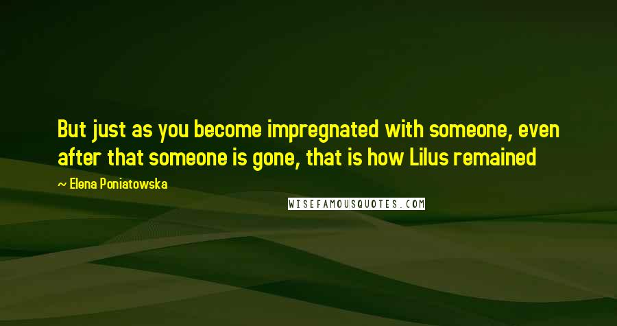 Elena Poniatowska Quotes: But just as you become impregnated with someone, even after that someone is gone, that is how Lilus remained