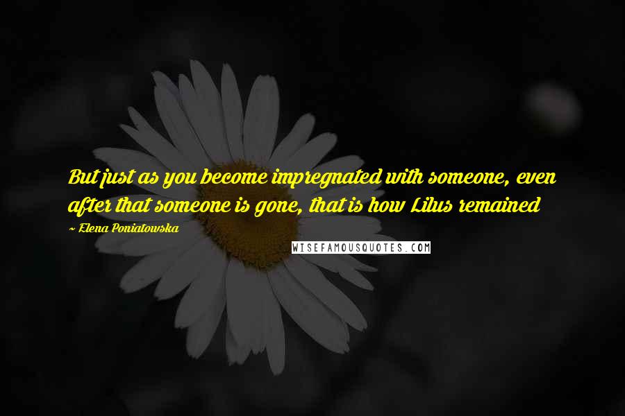 Elena Poniatowska Quotes: But just as you become impregnated with someone, even after that someone is gone, that is how Lilus remained