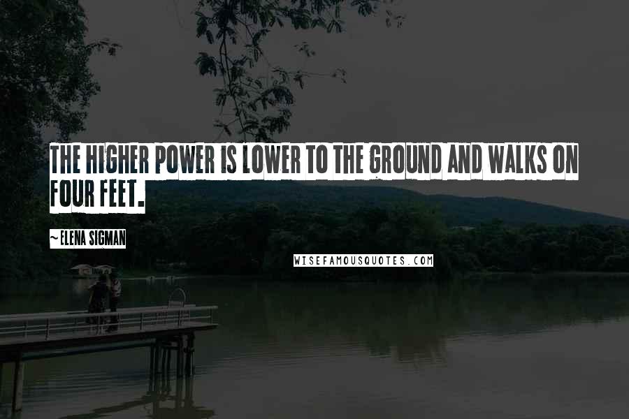 Elena Sigman Quotes: The higher power is lower to the ground and walks on four feet.