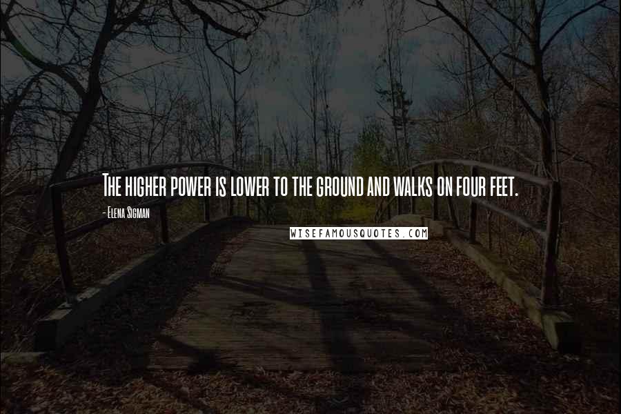 Elena Sigman Quotes: The higher power is lower to the ground and walks on four feet.