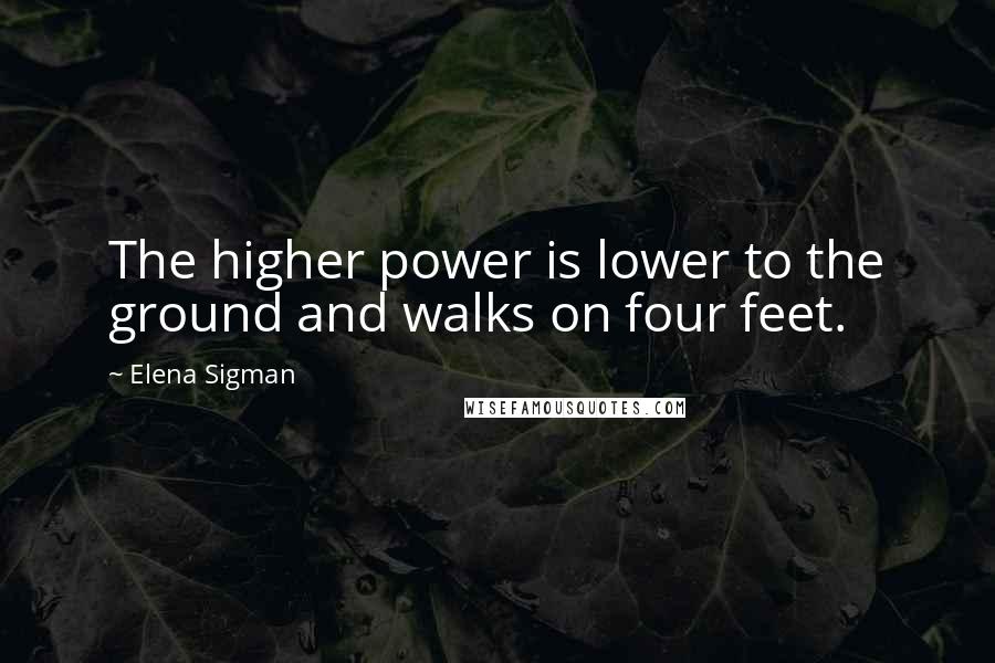 Elena Sigman Quotes: The higher power is lower to the ground and walks on four feet.