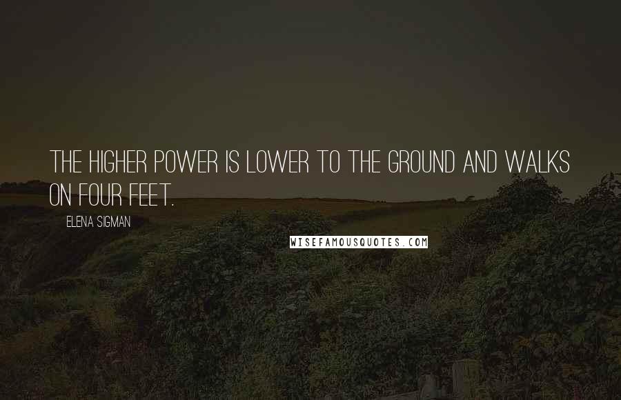 Elena Sigman Quotes: The higher power is lower to the ground and walks on four feet.