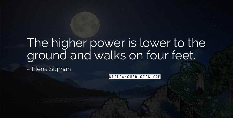 Elena Sigman Quotes: The higher power is lower to the ground and walks on four feet.