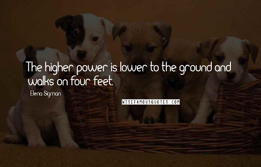 Elena Sigman Quotes: The higher power is lower to the ground and walks on four feet.