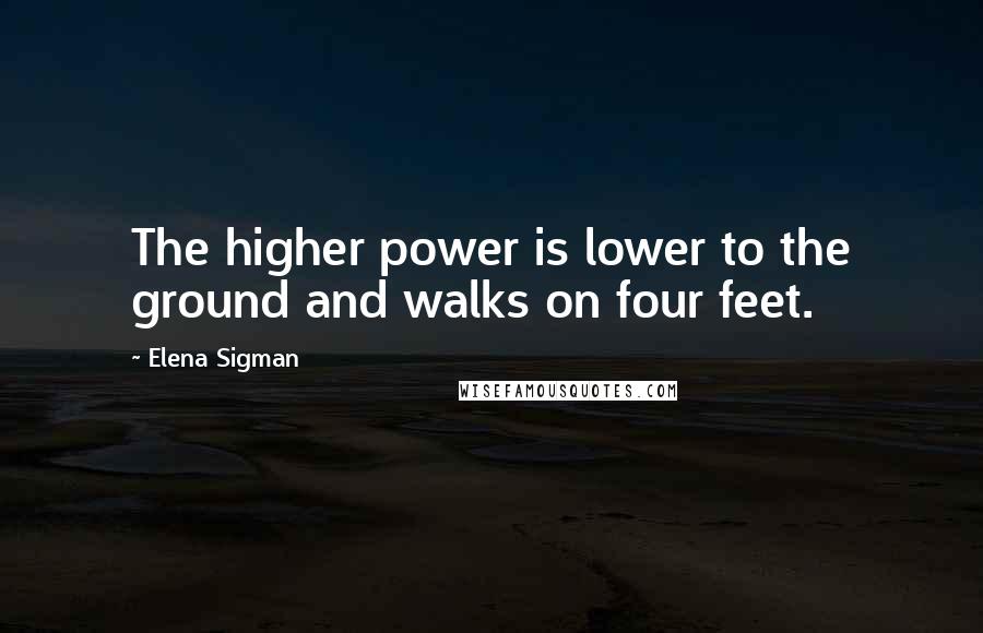 Elena Sigman Quotes: The higher power is lower to the ground and walks on four feet.