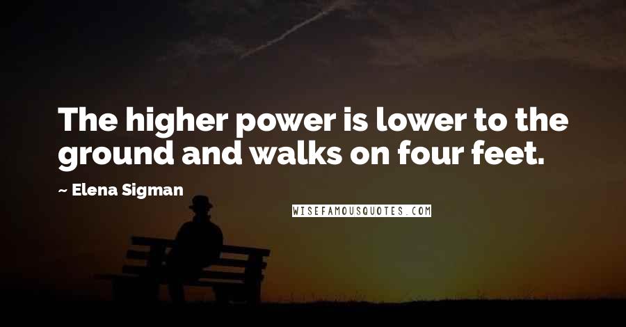 Elena Sigman Quotes: The higher power is lower to the ground and walks on four feet.